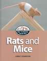 Rats and Mice