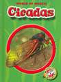 Cicadas