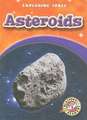 Asteroids