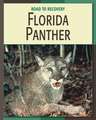 Florida Panther