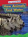 How Animals Find Water