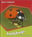 Ladybugs