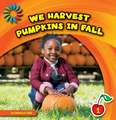 We Harvest Pumpkins in Fall