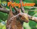 Flying Lemur