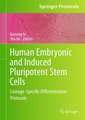 Human Embryonic and Induced Pluripotent Stem Cells: Lineage-Specific Differentiation Protocols