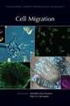 Cell Migration
