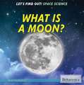 What Is a Moon?