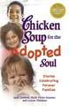 Chicken Soup for the Adopted Soul: Stories Celebrating Forever Families