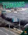 Tsunamis