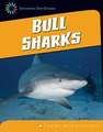 Bull Sharks