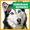 Siberian Huskies