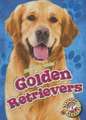 Golden Retrievers