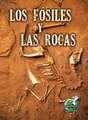 Los Fosiles y Las Rocas (Fossils and Rocks): Sunflowers)