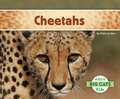 Cheetahs: Direct Sales/Network Marketing and Beyond Guide to Keeping Your Calendar Full