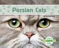 Persian Cats