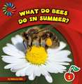 What Do Bees Do in Summer?