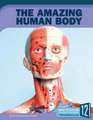 The Amazing Human Body