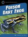 Poison Dart Frog