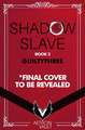 Shadow Slave, Book 2: Demon of Change