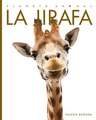 La Jirafa