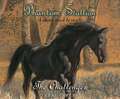 Phantom Stallion, Volume 6: The Challenger