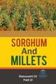 SORGHUM & MILLETS