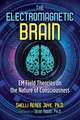 The Electromagnetic Brain: EM Field Theories on the Nature of Consciousness