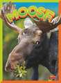 Moose