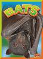 Bats