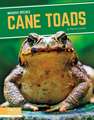 Cane Toads