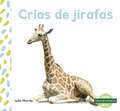 Cras de jirafas (Giraffe Calves)