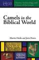 Camels in the Biblical World