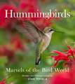 Hummingbirds: Marvels of the Bird World