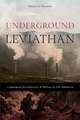 Underground Leviathan: Corporate Sovereignty and Mining in the Americas