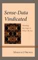 Sense-Data Vindicated: Minding the Gaps in What We See