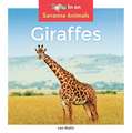 Giraffes