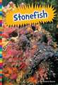 Stonefish