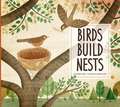 Birds Build Nests