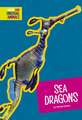 Sea Cucumbers