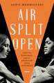 Air Split Open: Odetta, Joan Baez, and the American Folk Movement