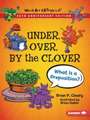 Under, Over, By the Clover, 20th Anniversary Edition