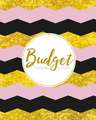 Budget Planner Organizer: Golden Pink 12 Month Weekly Expense Tracker Bill Organizer Business Money Personal Finance Journal Planning Workbook