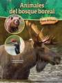 Animales del Bosque Boreal: Boreal Forest Animals