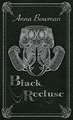 Black Recluse