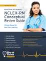 NCLEX-RN Conceptual Review Guide: Clinical-Based for Next Gen Learning