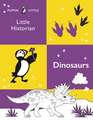 Puffin Little Historian: Dinosaurs