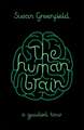 The Human Brain