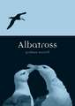 Albatross