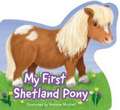 My First Shetland Pony