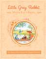 Little Grey Rabbit: Water Rat's Picnic